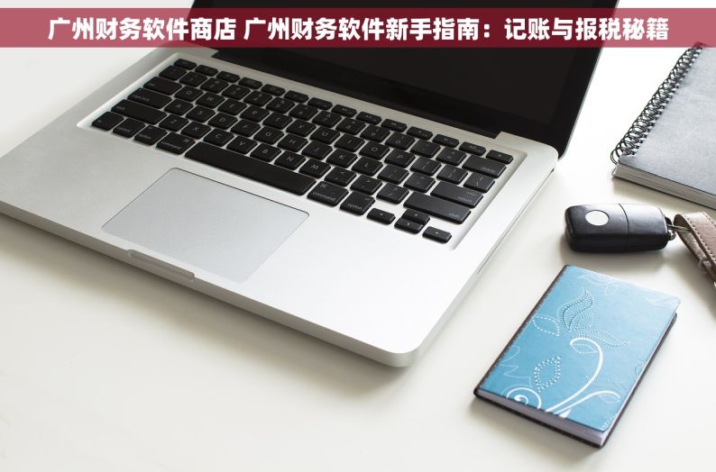 广州财务软件商店 广州财务软件新手指南：记账与报税秘籍