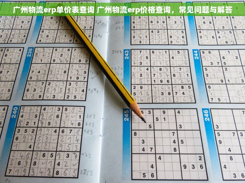 广州物流erp单价表查询 广州物流erp价格查询，常见问题与解答