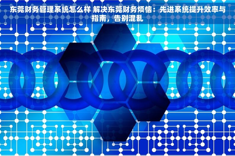 东莞财务管理系统怎么样 解决东莞财务烦恼：先进系统提升效率与指南，告别混乱