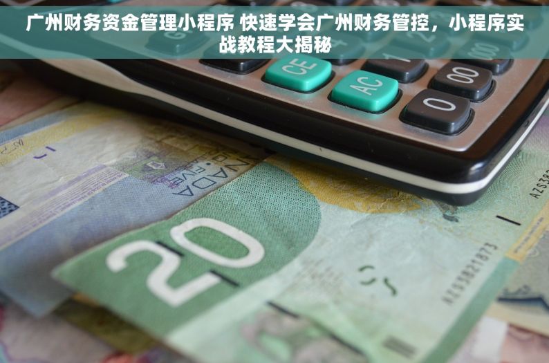 广州财务资金管理小程序 快速学会广州财务管控，小程序实战教程大揭秘
