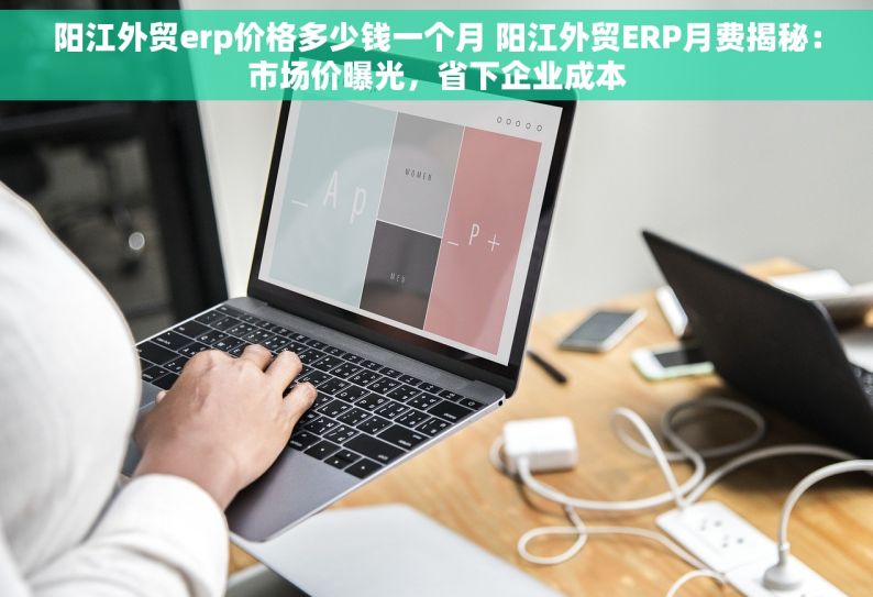 阳江外贸erp价格多少钱一个月 阳江外贸ERP月费揭秘：市场价曝光，省下企业成本