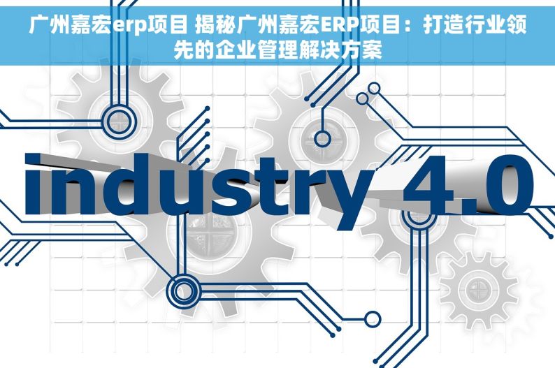 广州嘉宏erp项目 揭秘广州嘉宏ERP项目：打造行业领先的企业管理解决方案