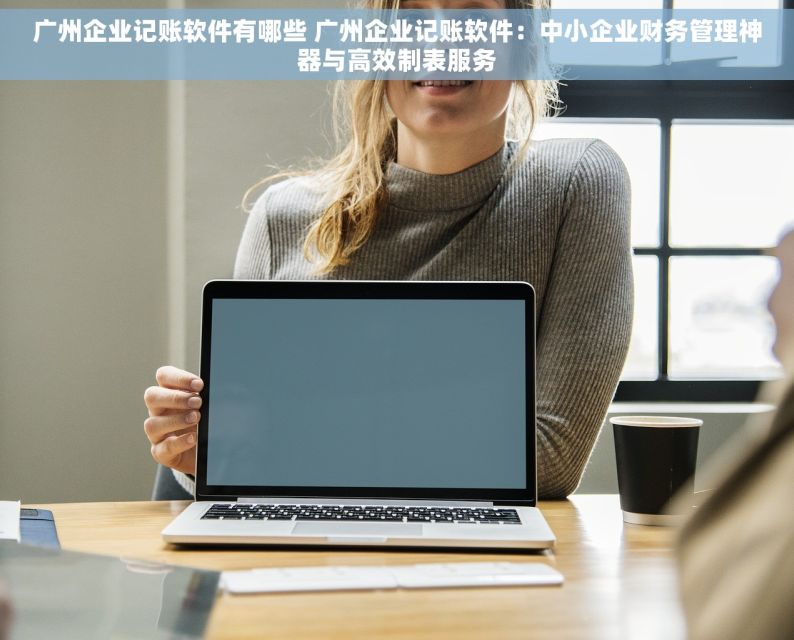 广州企业记账软件有哪些 广州企业记账软件：中小企业财务管理神器与高效制表服务