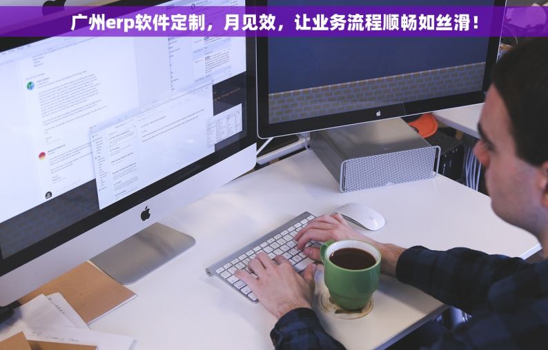 广州erp软件定制，月见效，让业务流程顺畅如丝滑！