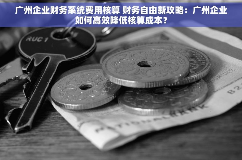 广州企业财务系统费用核算 财务自由新攻略：广州企业如何高效降低核算成本？