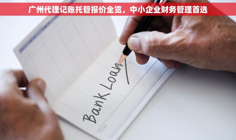 广州代理记账托管报价全览，中小企业财务管理首选