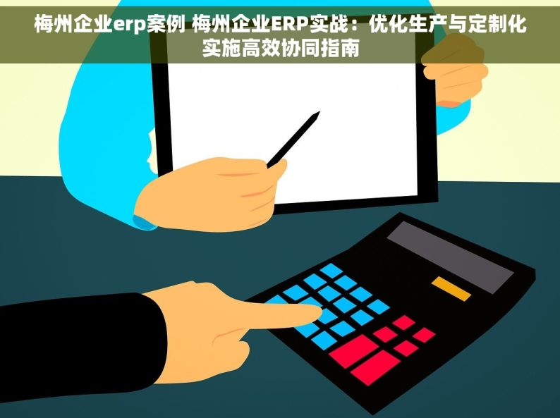 梅州企业erp案例 梅州企业ERP实战：优化生产与定制化实施高效协同指南
