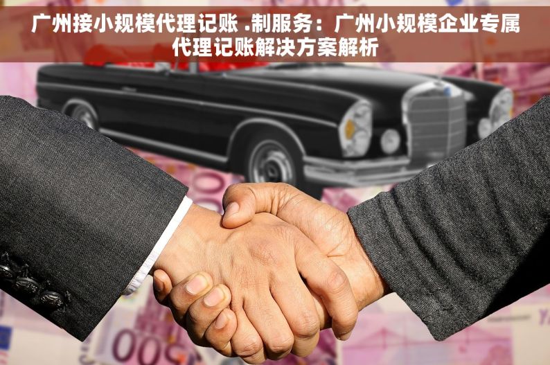 广州接小规模代理记账 .制服务：广州小规模企业专属代理记账解决方案解析