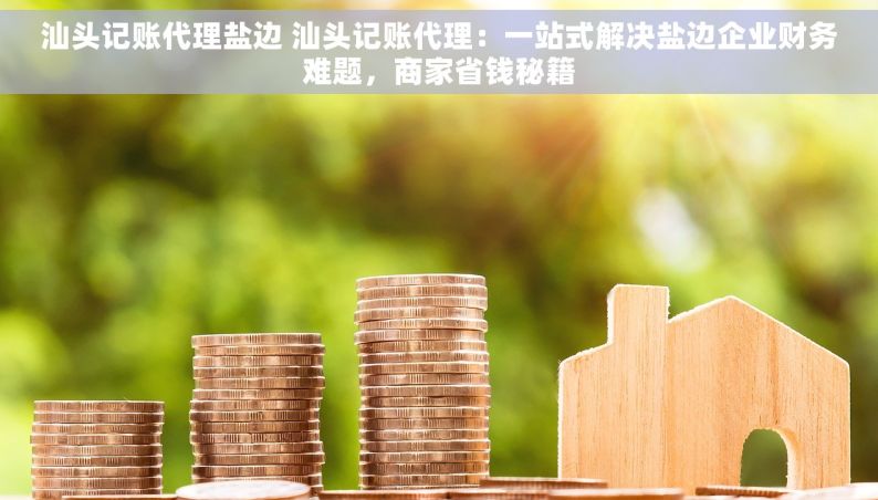 汕头记账代理盐边 汕头记账代理：一站式解决盐边企业财务难题，商家省钱秘籍