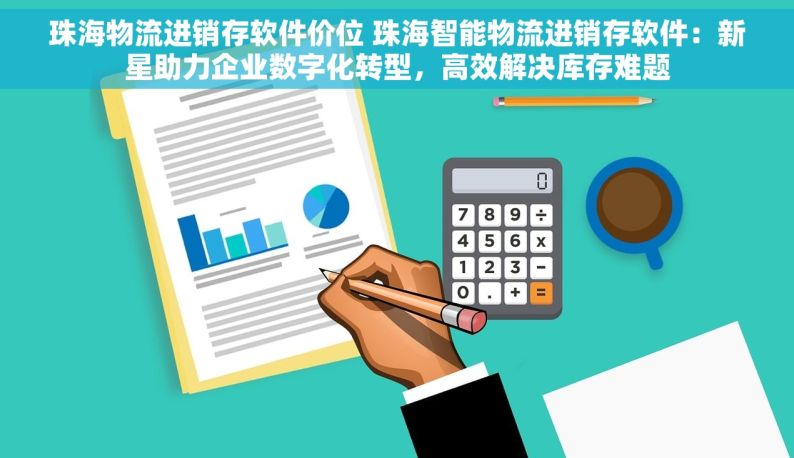 珠海物流进销存软件价位 珠海智能物流进销存软件：新星助力企业数字化转型，高效解决库存难题