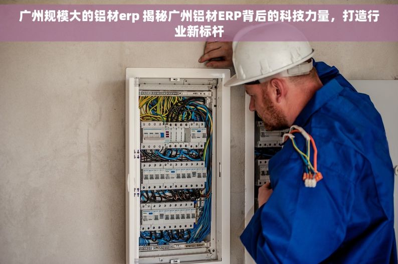 广州规模大的铝材erp 揭秘广州铝材ERP背后的科技力量，打造行业新标杆