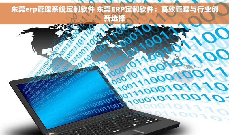 东莞erp管理系统定制软件 东莞ERP定制软件：高效管理与行业创新选择