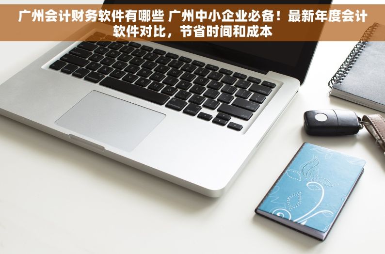 广州会计财务软件有哪些 广州中小企业必备！最新年度会计软件对比，节省时间和成本