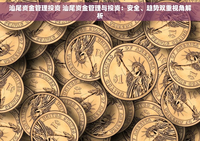 汕尾资金管理投资 汕尾资金管理与投资：安全、趋势双重视角解析