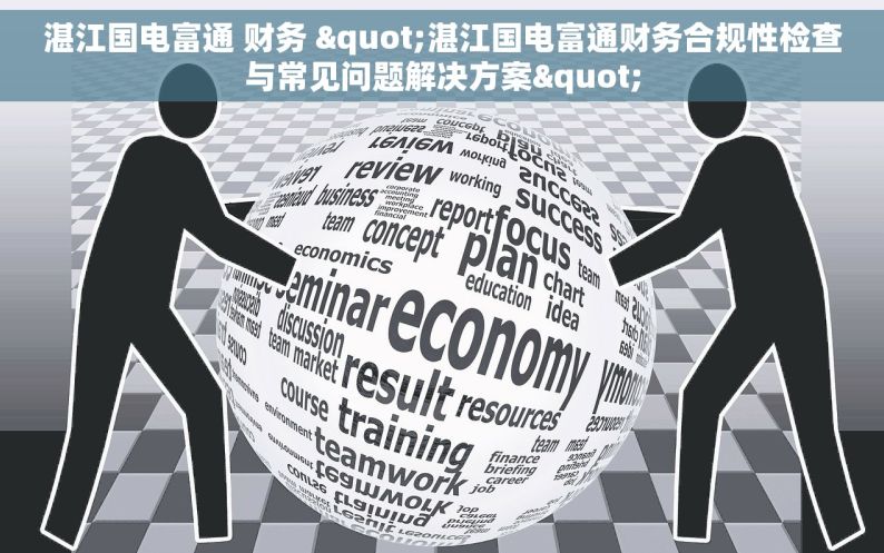湛江国电富通 财务 "湛江国电富通财务合规性检查与常见问题解决方案"