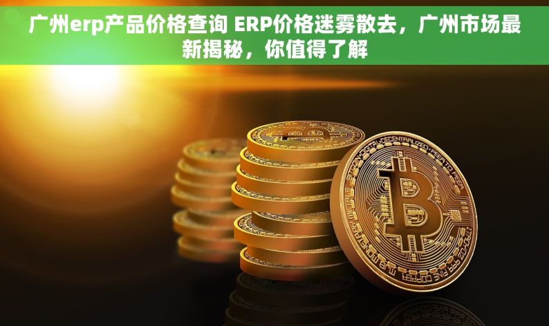 广州erp产品价格查询 ERP价格迷雾散去，广州市场最新揭秘，你值得了解