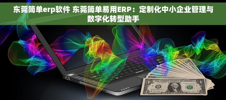 东莞简单erp软件 东莞简单易用ERP：定制化中小企业管理与数字化转型助手