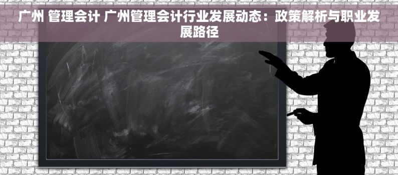 广州 管理会计 广州管理会计行业发展动态：政策解析与职业发展路径