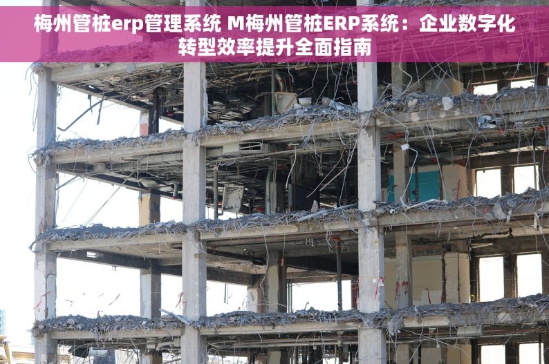 梅州管桩erp管理系统 M梅州管桩ERP系统：企业数字化转型效率提升全面指南