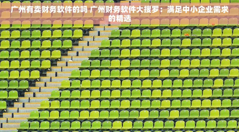 广州有卖财务软件的吗 广州财务软件大搜罗：满足中小企业需求的精选