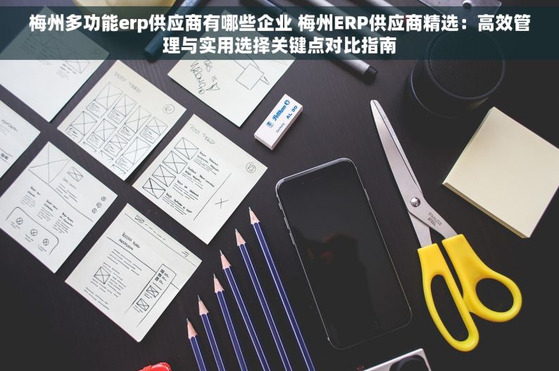 梅州多功能erp供应商有哪些企业 梅州ERP供应商精选：高效管理与实用选择关键点对比指南