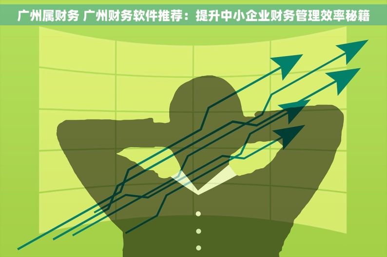 广州属财务 广州财务软件推荐：提升中小企业财务管理效率秘籍