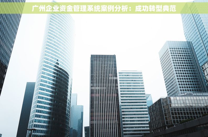 广州企业资金管理系统案例分析：成功转型典范