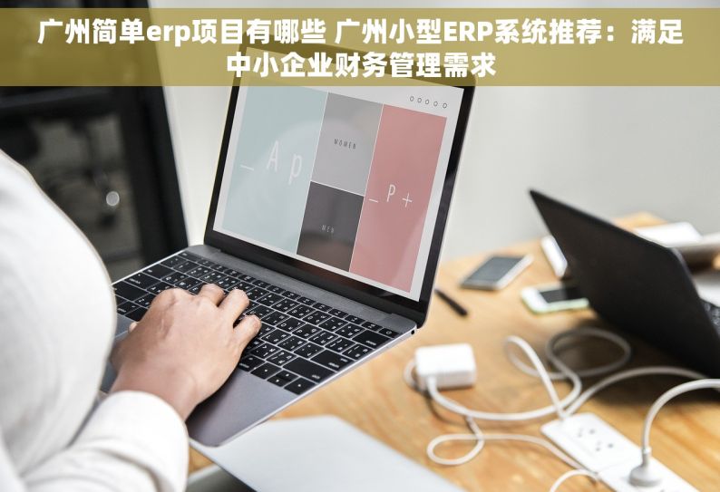 广州简单erp项目有哪些 广州小型ERP系统推荐：满足中小企业财务管理需求