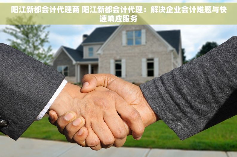 阳江新都会计代理商 阳江新都会计代理：解决企业会计难题与快速响应服务