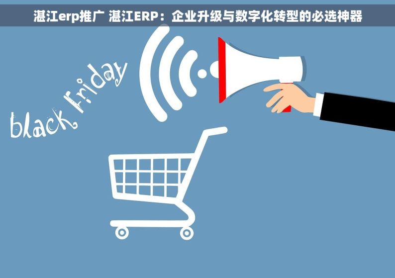 湛江erp推广 湛江ERP：企业升级与数字化转型的必选神器