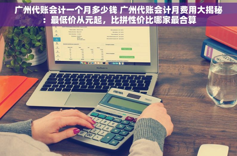 广州代账会计一个月多少钱 广州代账会计月费用大揭秘：最低价从元起，比拼性价比哪家最合算