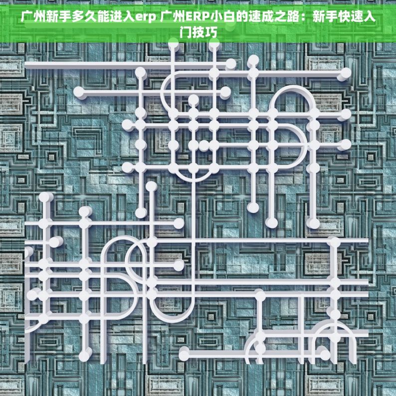 广州新手多久能进入erp 广州ERP小白的速成之路：新手快速入门技巧