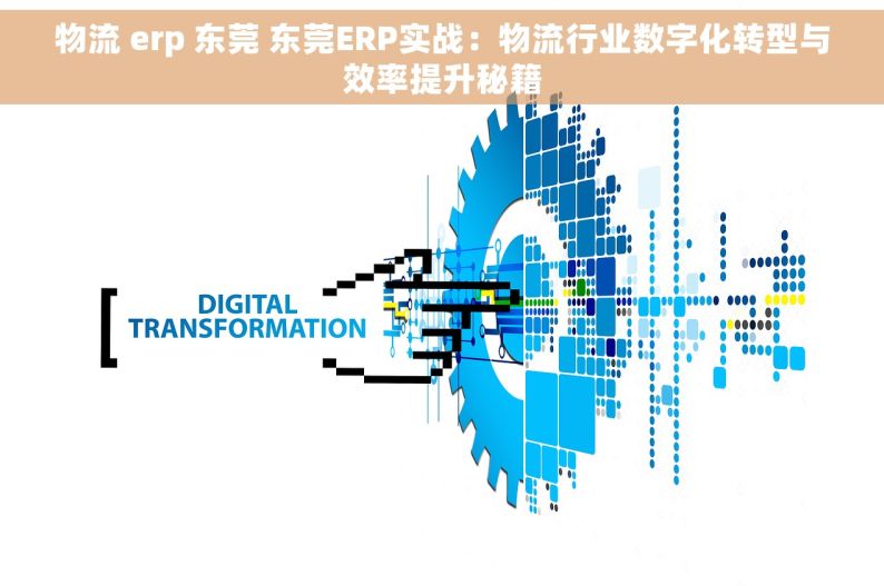 物流 erp 东莞 东莞ERP实战：物流行业数字化转型与效率提升秘籍