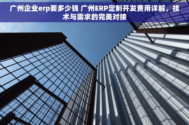 广州企业erp要多少钱 广州ERP定制开发费用详解，技术与需求的完美对接