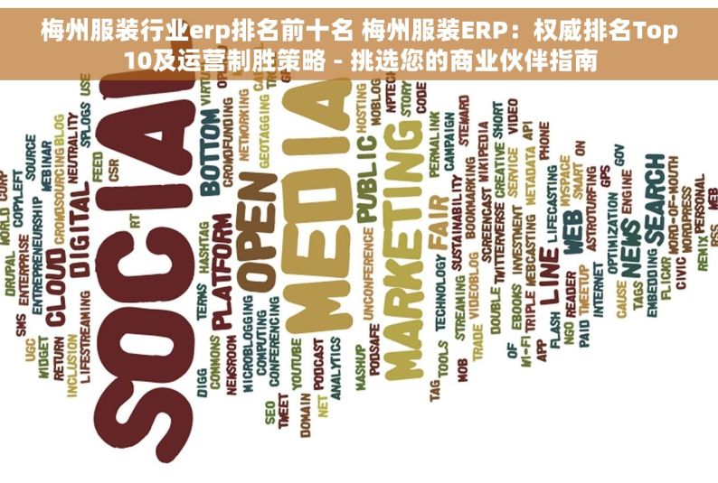 梅州服装行业erp排名前十名 梅州服装ERP：权威排名Top10及运营制胜策略 - 挑选您的商业伙伴指南