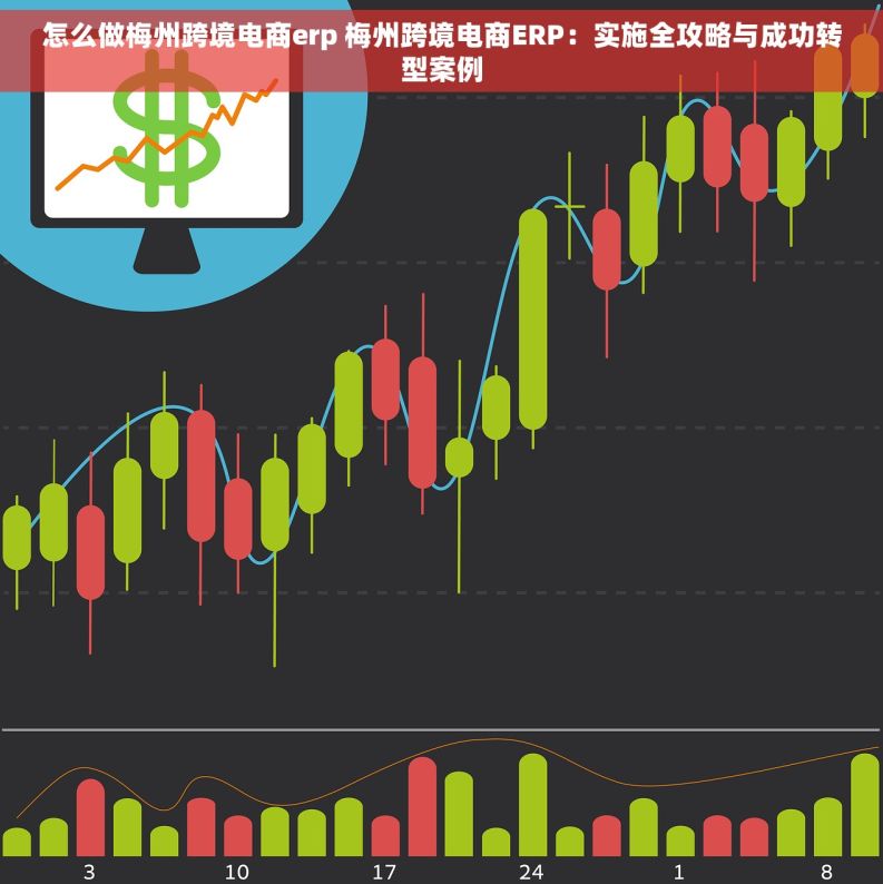 怎么做梅州跨境电商erp 梅州跨境电商ERP：实施全攻略与成功转型案例