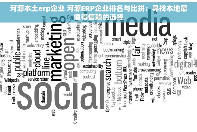 河源本土erp企业 河源ERP企业排名与比拼：寻找本地最值得信赖的选择