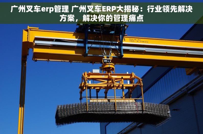 广州叉车erp管理 广州叉车ERP大揭秘：行业领先解决方案，解决你的管理痛点