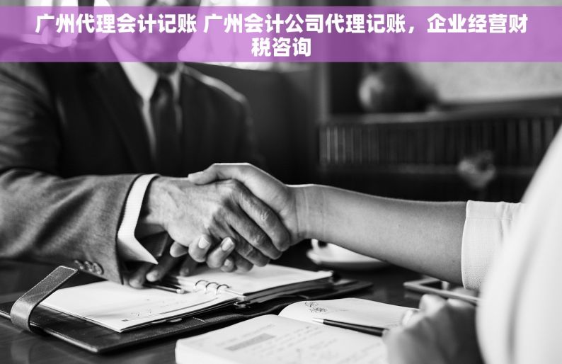 广州代理会计记账 广州会计公司代理记账，企业经营财税咨询