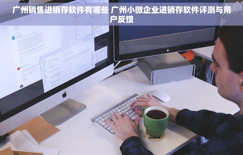 广州销售进销存软件有哪些 广州小微企业进销存软件评测与用户反馈