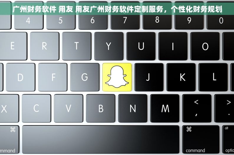 广州财务软件 用友 用友广州财务软件定制服务，个性化财务规划