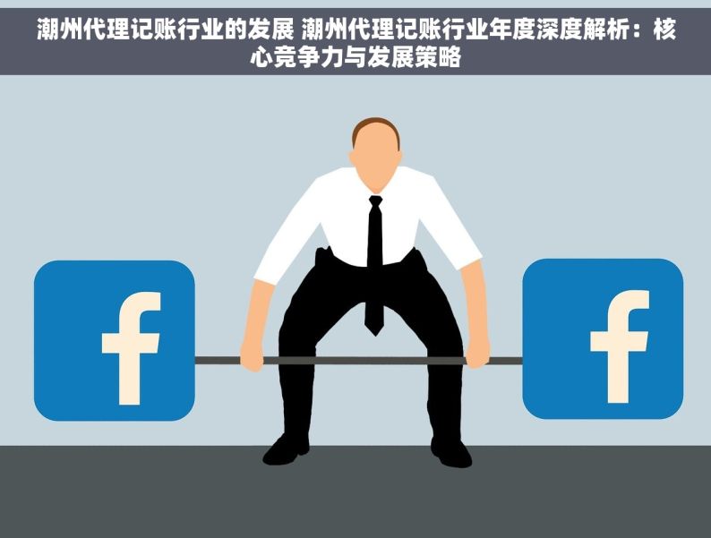 潮州代理记账行业的发展 潮州代理记账行业年度深度解析：核心竞争力与发展策略