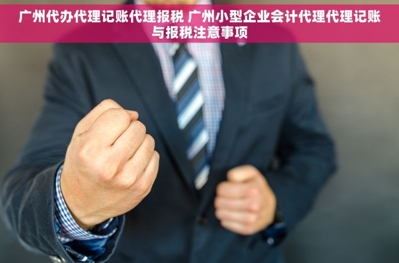 广州代办代理记账代理报税 广州小型企业会计代理代理记账与报税注意事项
