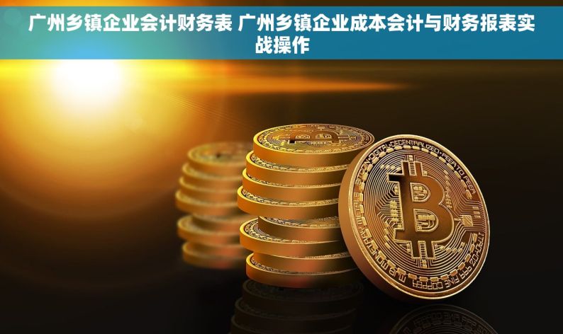 广州乡镇企业会计财务表 广州乡镇企业成本会计与财务报表实战操作