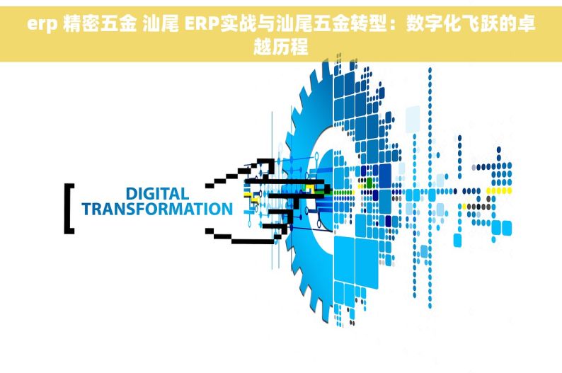 erp 精密五金 汕尾 ERP实战与汕尾五金转型：数字化飞跃的卓越历程