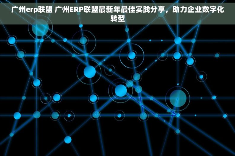 广州erp联盟 广州ERP联盟最新年最佳实践分享，助力企业数字化转型