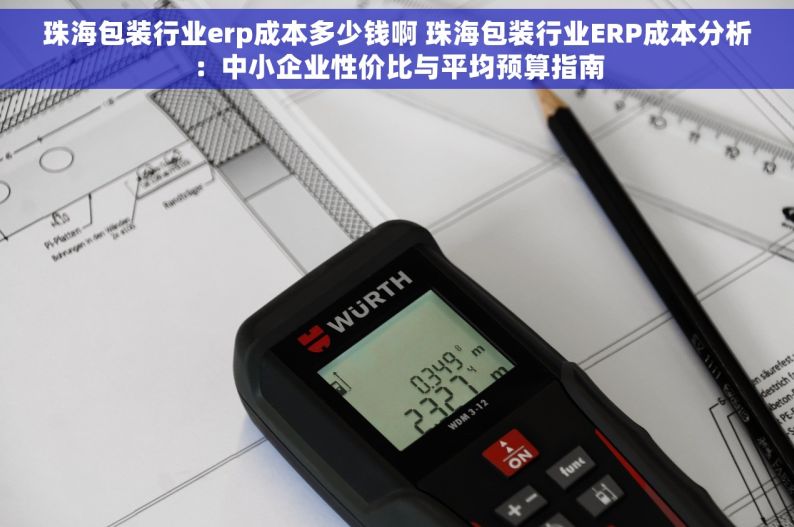 珠海包装行业erp成本多少钱啊 珠海包装行业ERP成本分析：中小企业性价比与平均预算指南