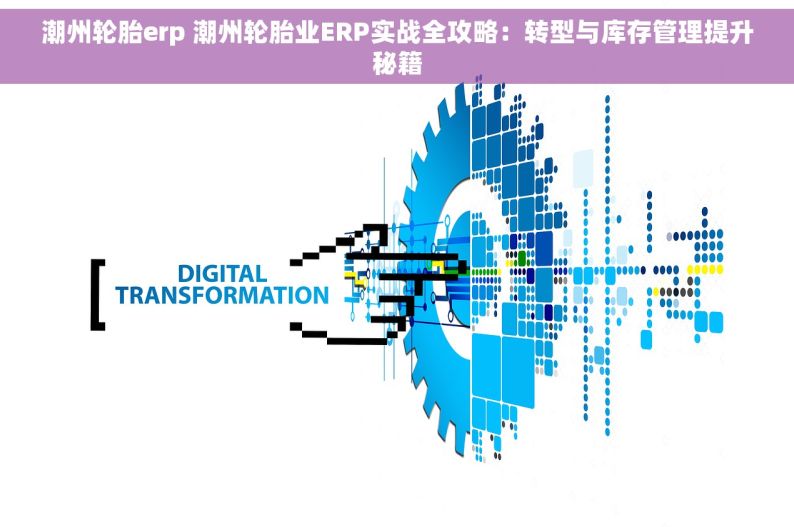 潮州轮胎erp 潮州轮胎业ERP实战全攻略：转型与库存管理提升秘籍