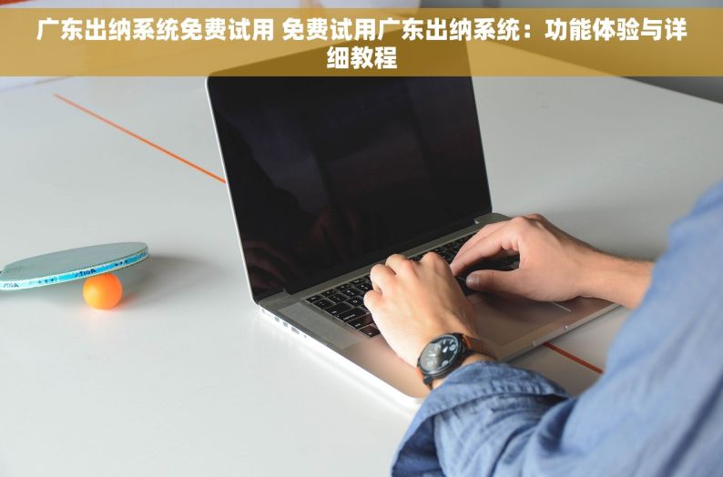 广东出纳系统免费试用 免费试用广东出纳系统：功能体验与详细教程