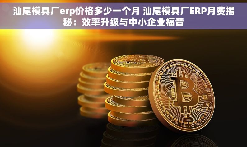 汕尾模具厂erp价格多少一个月 汕尾模具厂ERP月费揭秘：效率升级与中小企业福音
